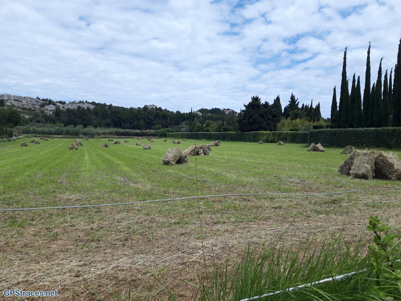 Bouches du Rhône-Alpilles - Vallée des Baux de Provence–11
