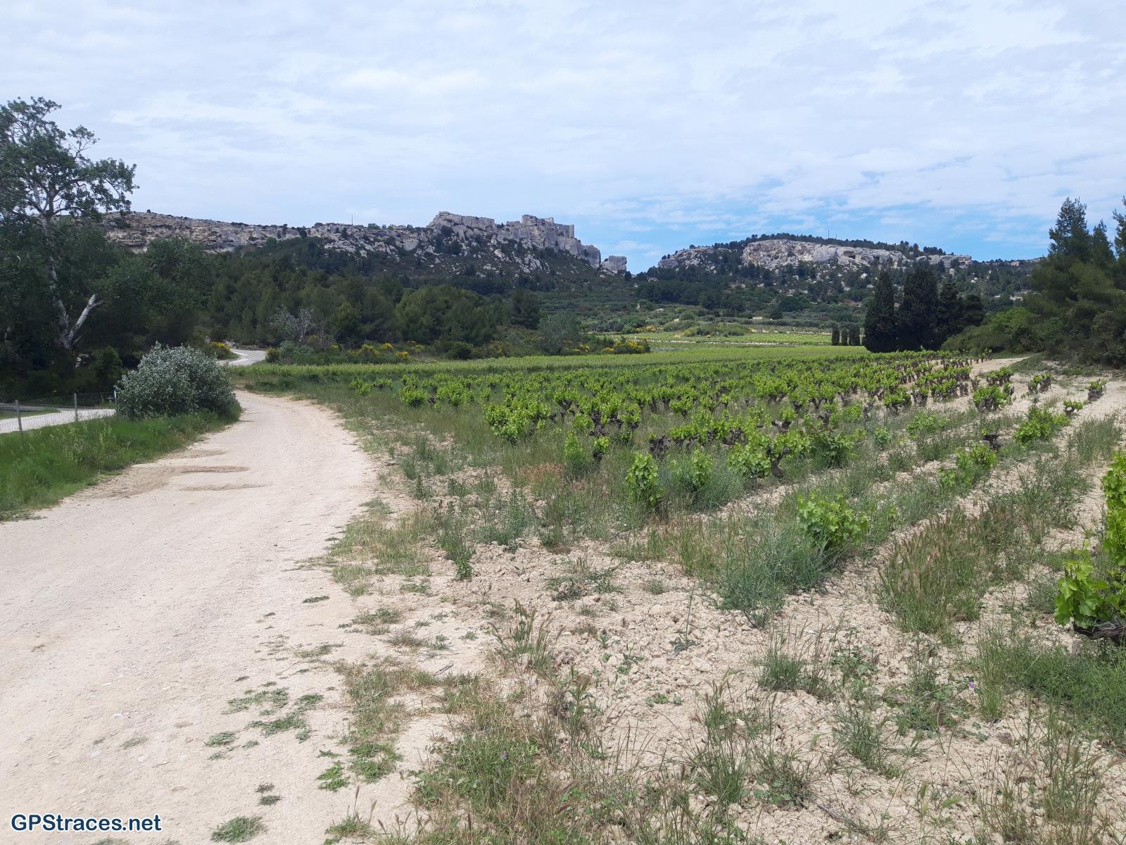 Bouches du Rhône-Alpilles - Vallée des Baux de Provence–14