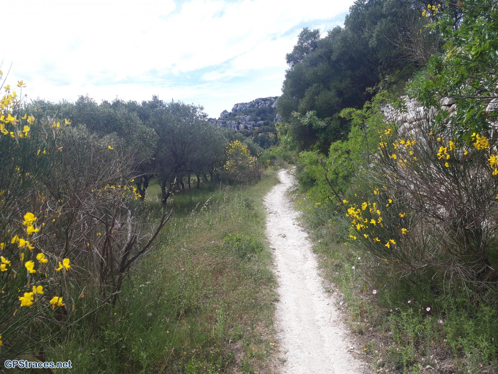 Bouches du Rhône-Alpilles - Vallée des Baux de Provence–15