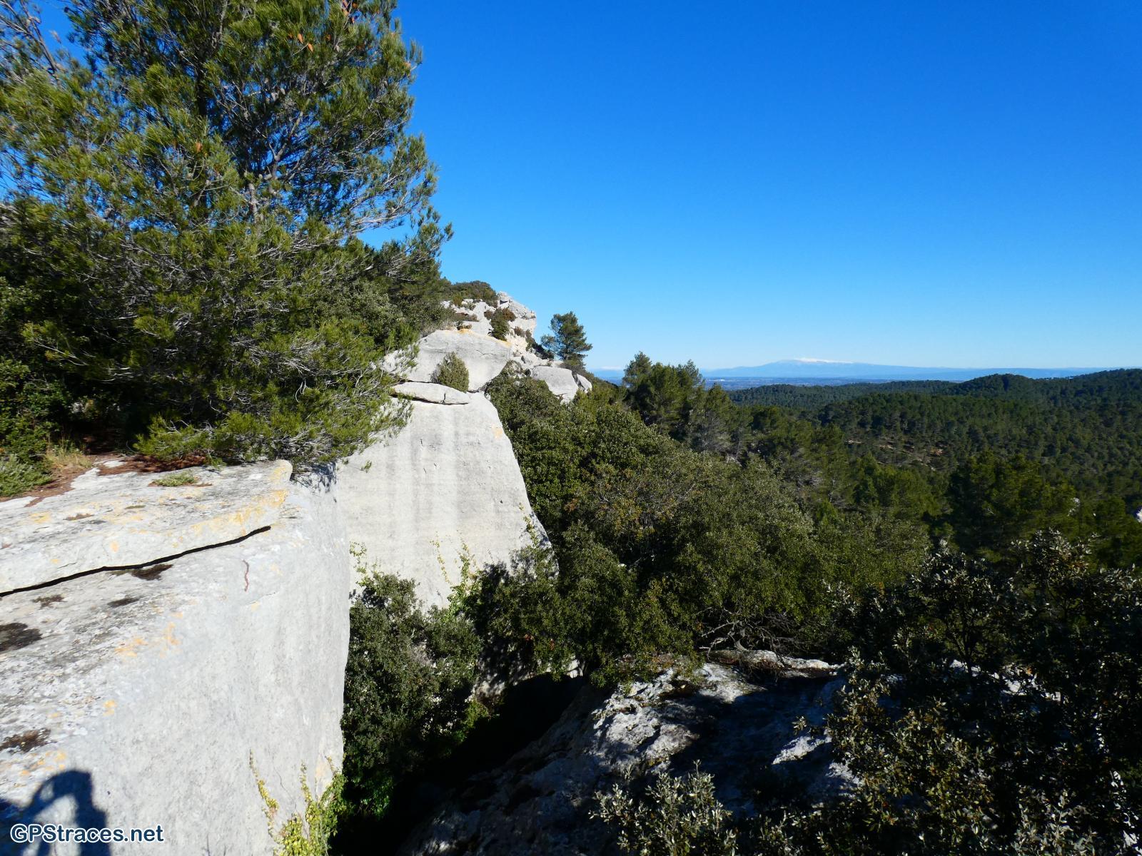 Sur fond de Mont Ventoux enneigé