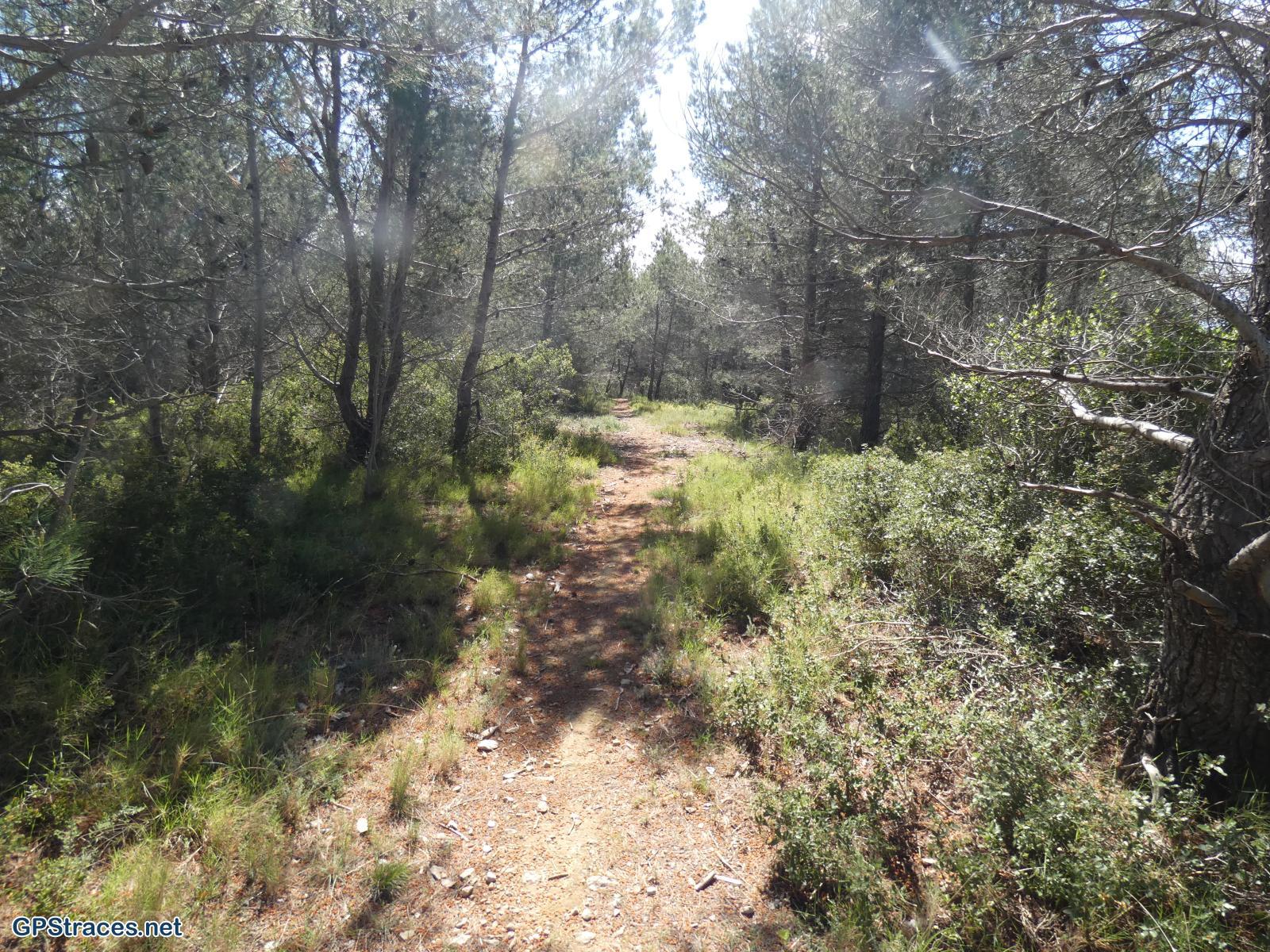 Bouches du Rhône-Alpilles - Du vallon de Courtézon au Grand Méjan–0