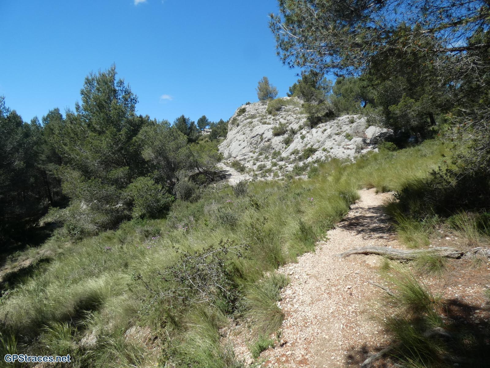 Bouches du Rhône-Alpilles - Du vallon de Courtézon au Grand Méjan–2