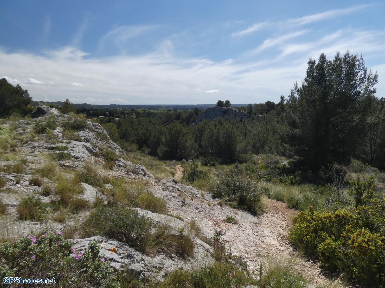 Bouches du Rhône-Alpilles - Du vallon de Courtézon au Grand Méjan–3