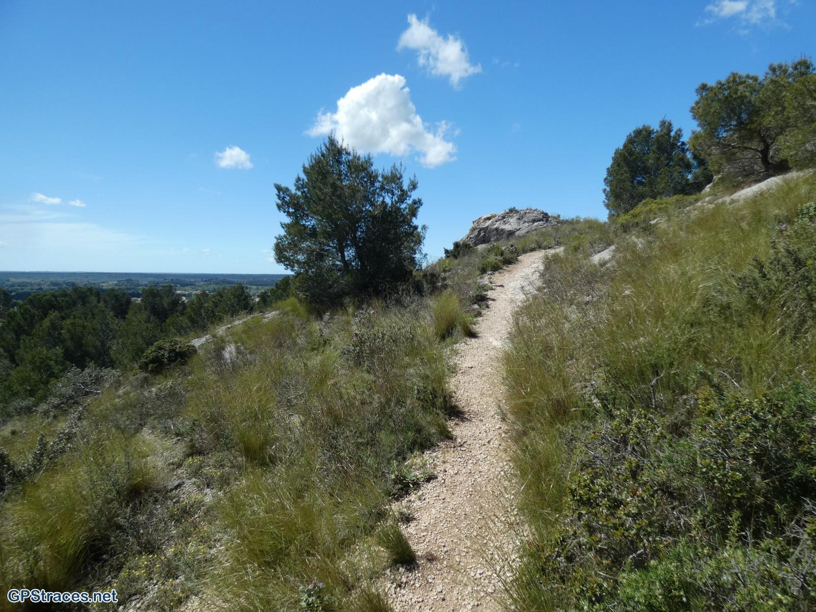 Bouches du Rhône-Alpilles - Du vallon de Courtézon au Grand Méjan–4