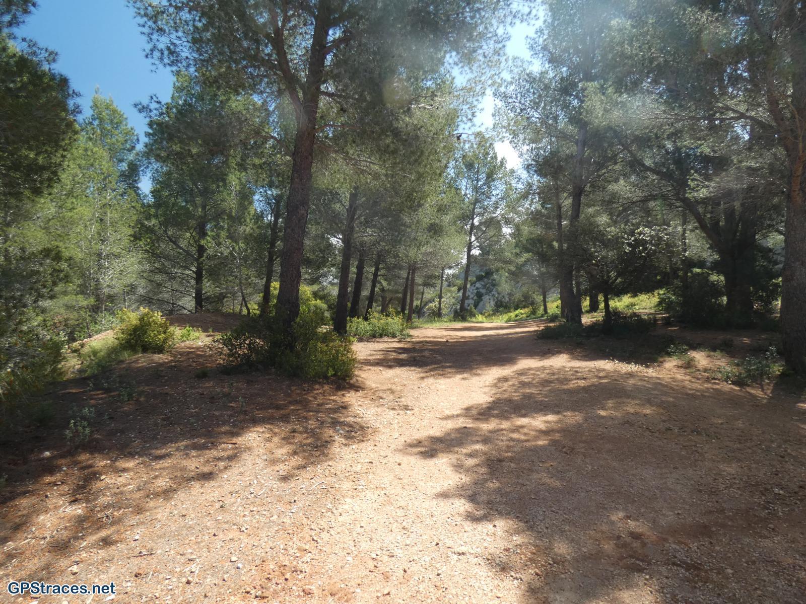Bouches du Rhône-Alpilles - Du vallon de Courtézon au Grand Méjan–7