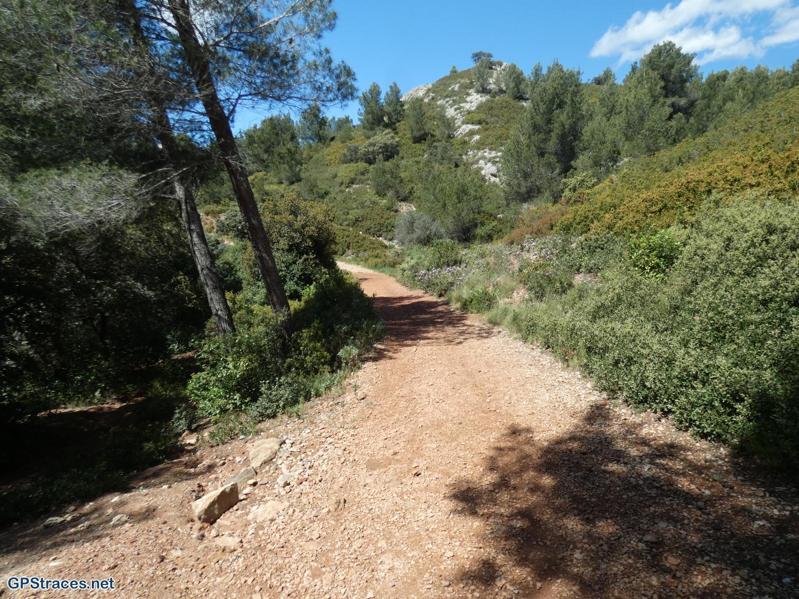 Bouches du Rhône-Alpilles - Du vallon de Courtézon au Grand Méjan–8