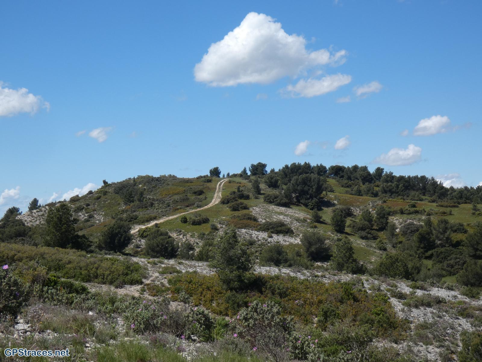 Bouches du Rhône-Alpilles - Du vallon de Courtézon au Grand Méjan–9