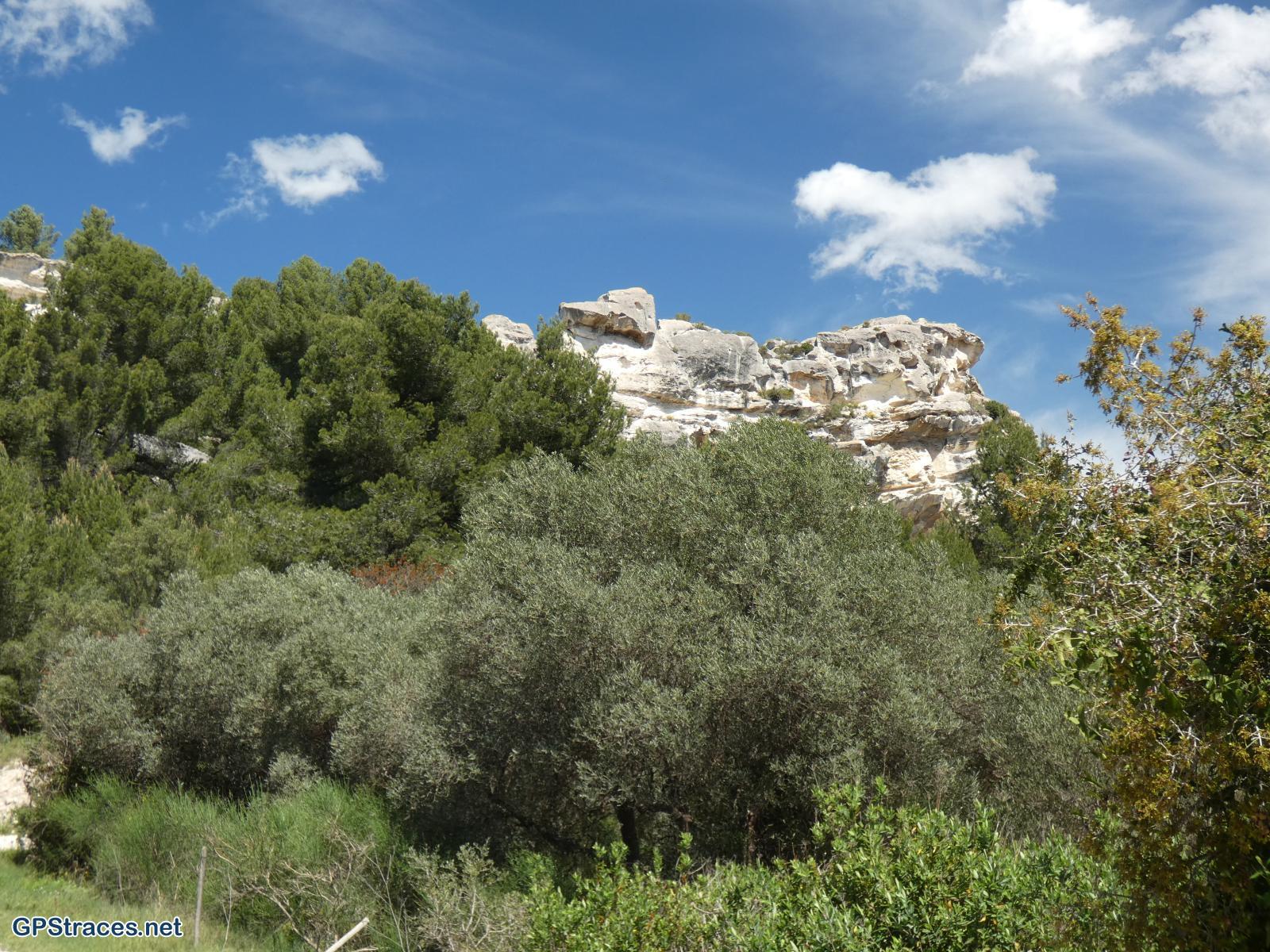 Bouches du Rhône-Alpilles - Du vallon de Courtézon au Grand Méjan–11