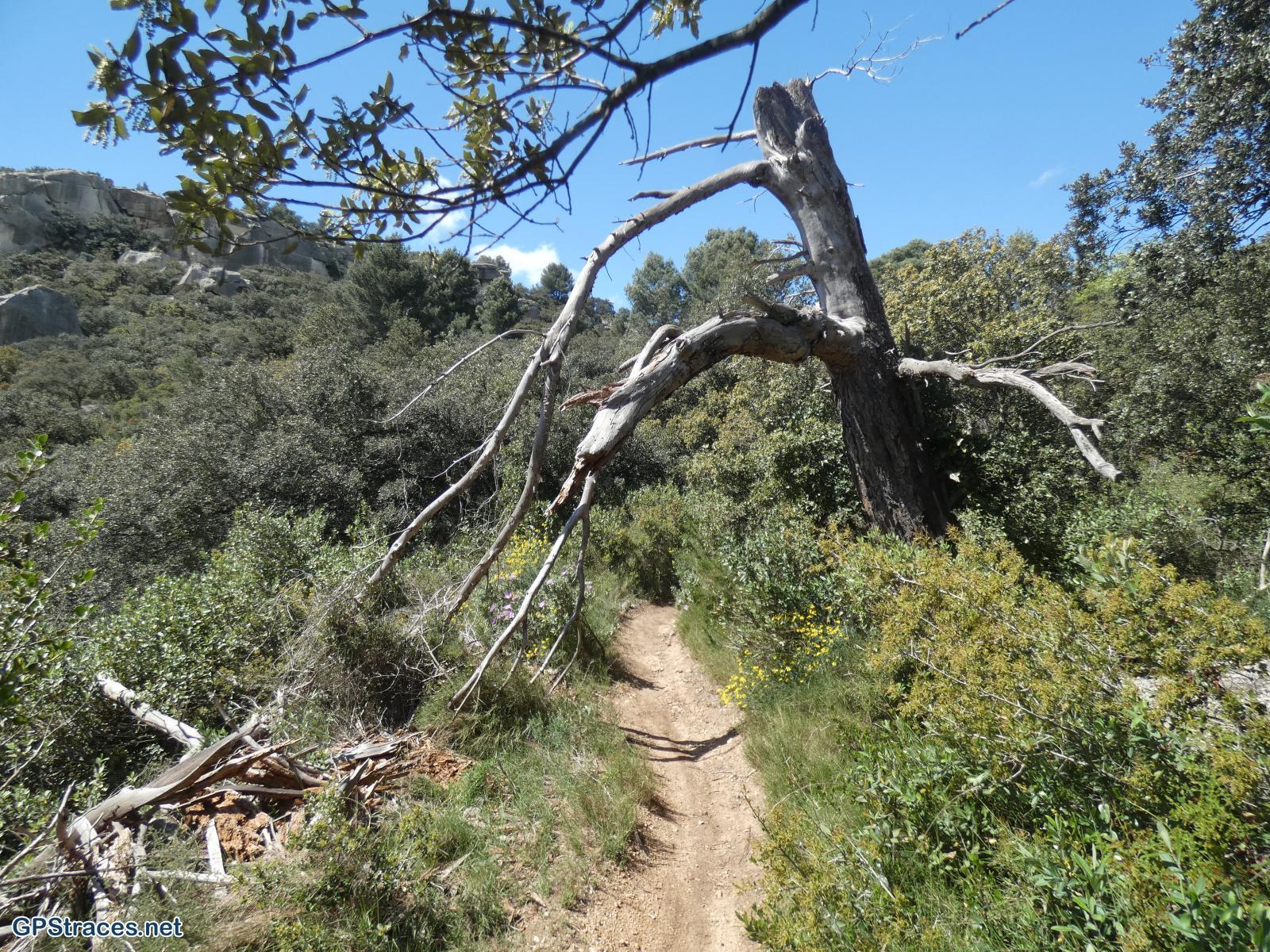 Bouches du Rhône-Alpilles - Du vallon de Courtézon au Grand Méjan–14