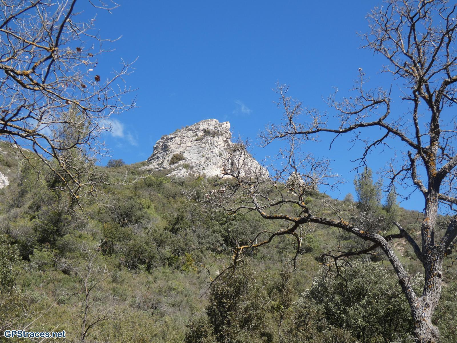 Bouches du Rhône-Charleval - Le Mont Trésor–4
