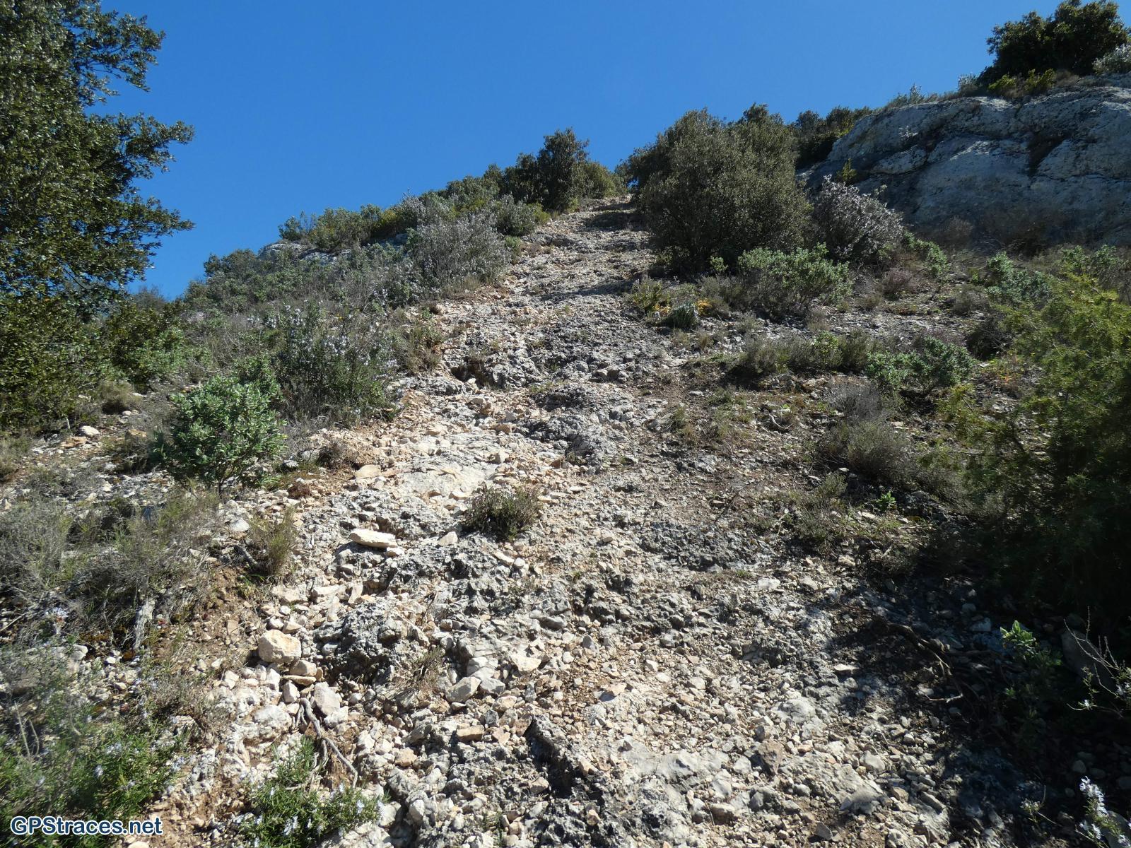 ça grimpe fort