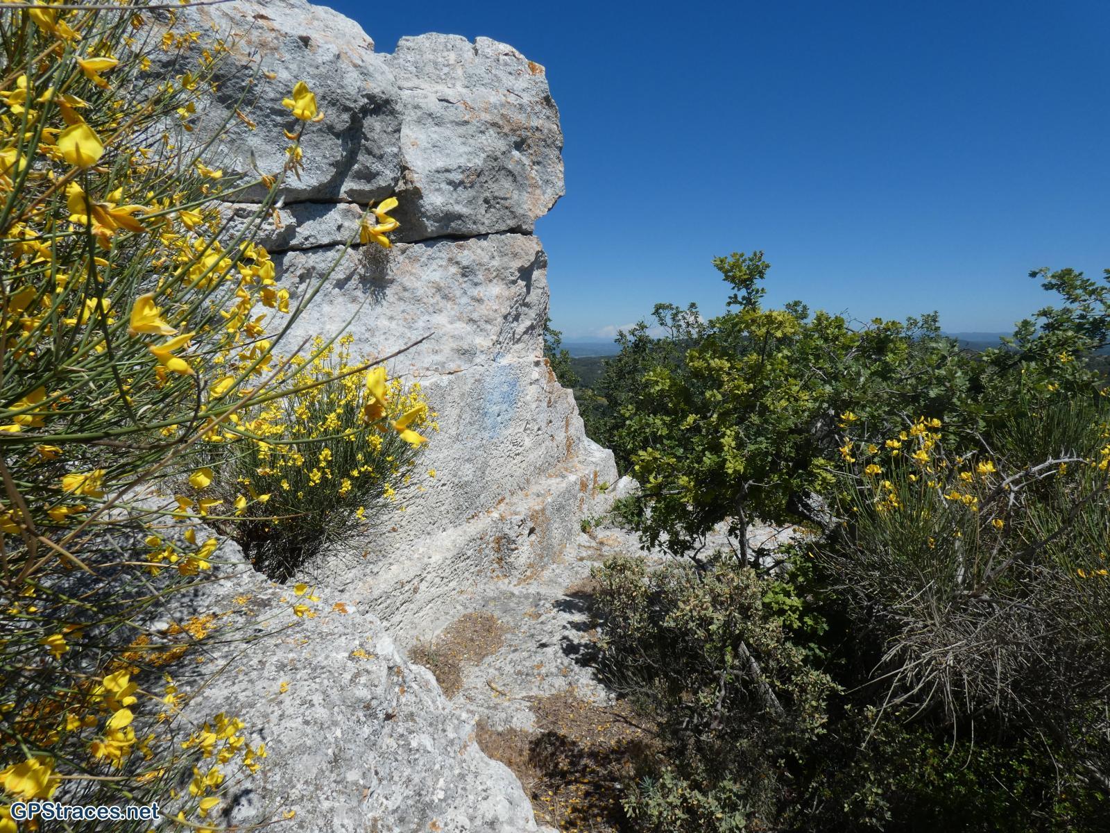 Bouches du Rhône-Lambesc - Chaine des Côtes -Sainte Anne de Goiron–14