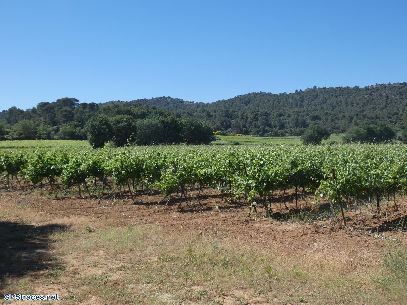 Bouches du Rhône-Lambesc - Chaine des Côtes -Sainte Anne de Goiron–16
