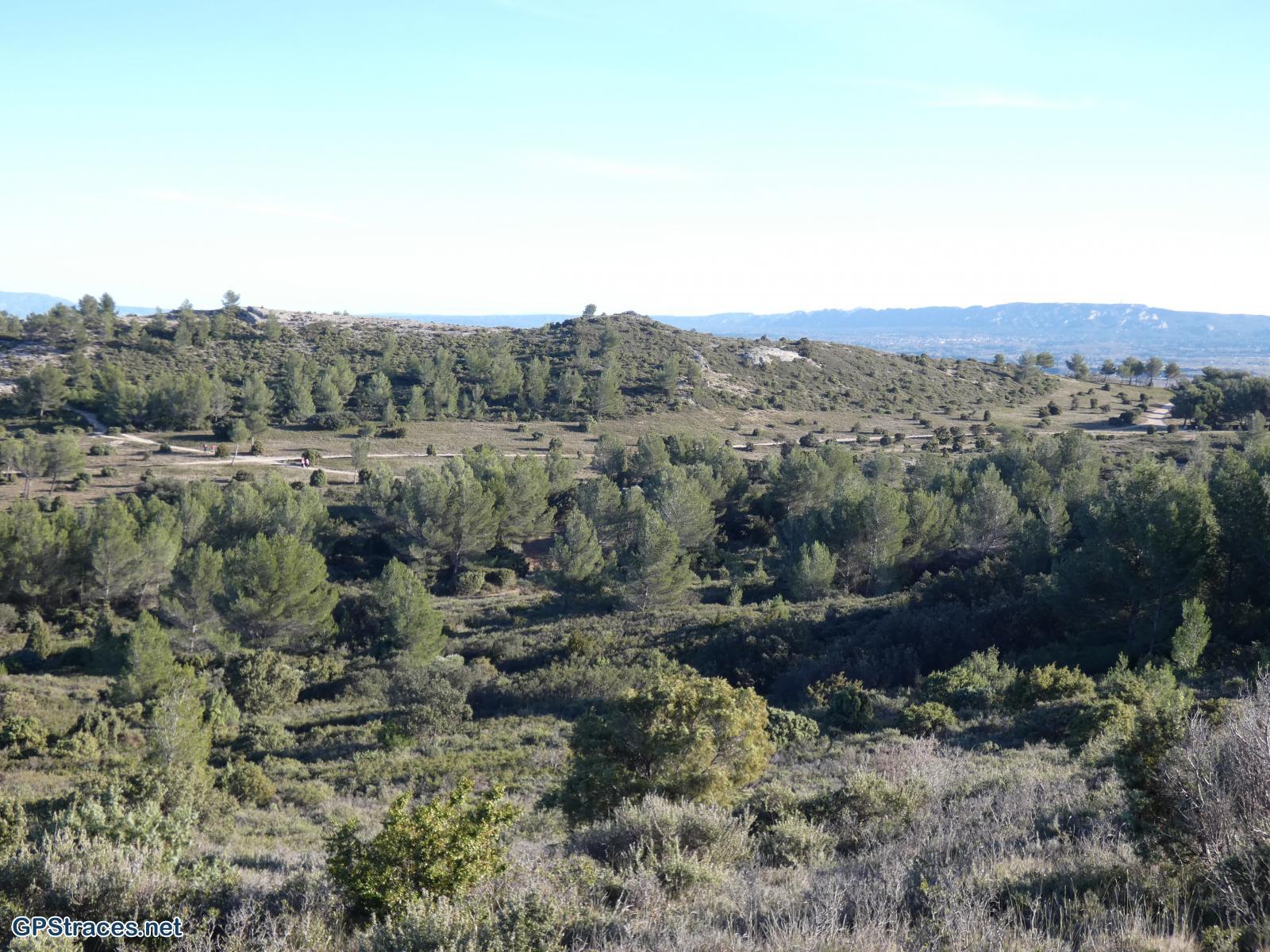 A l'arrière plan, les Alpilles