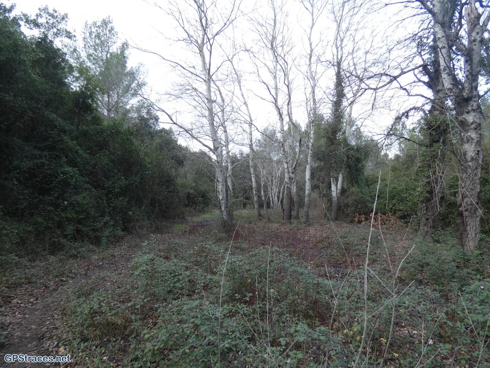 Bouches du Rhône-Montagnette - Les Bouisses - la Vierge du Rocher de Magne–0