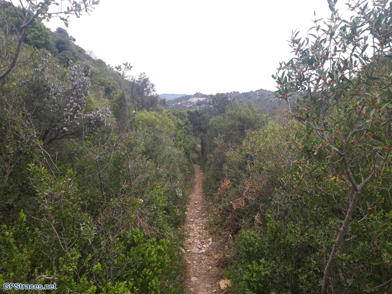 Bouches du Rhône-Montagnette - Carrière–7