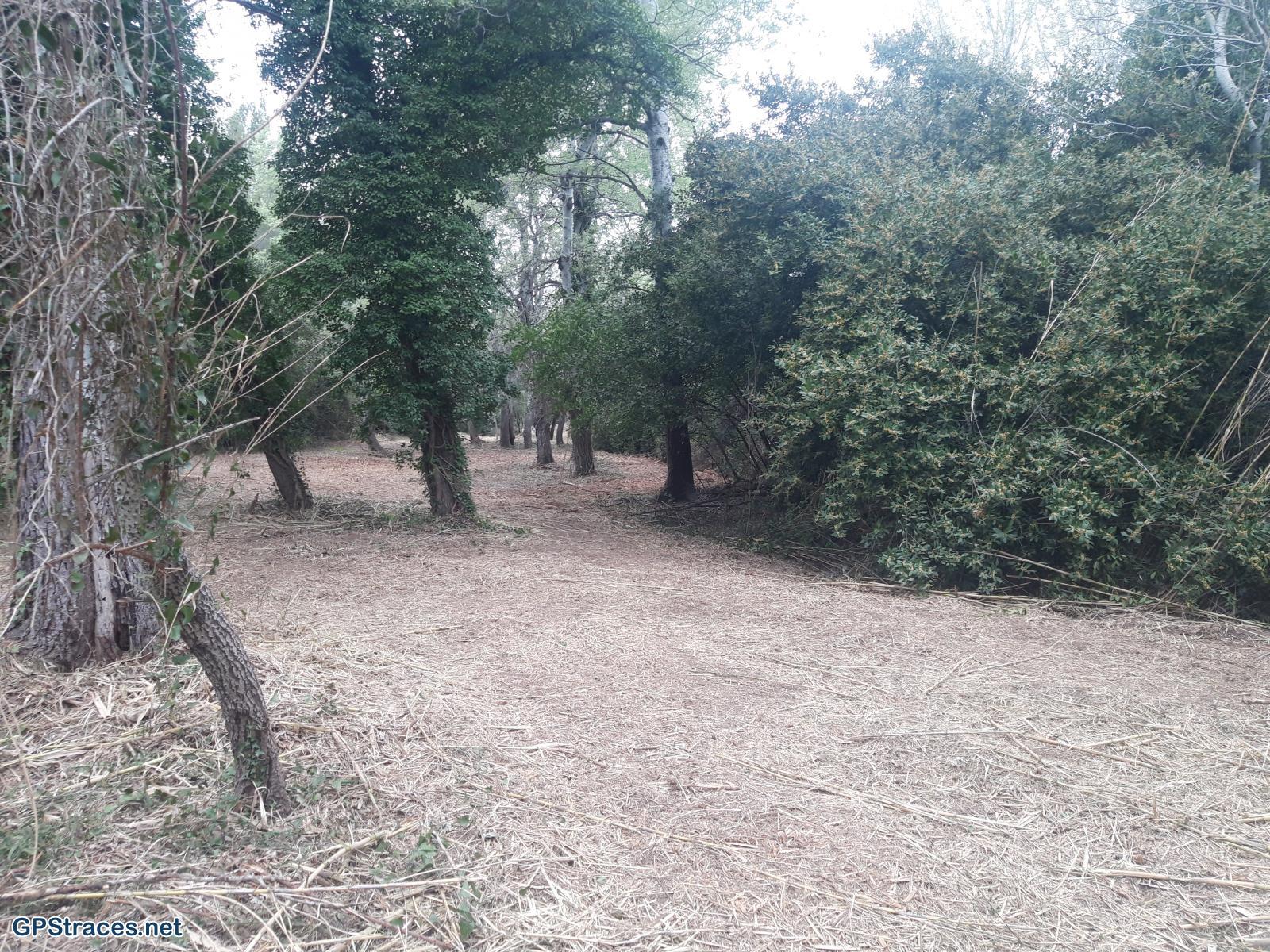 Remontée du gaudre