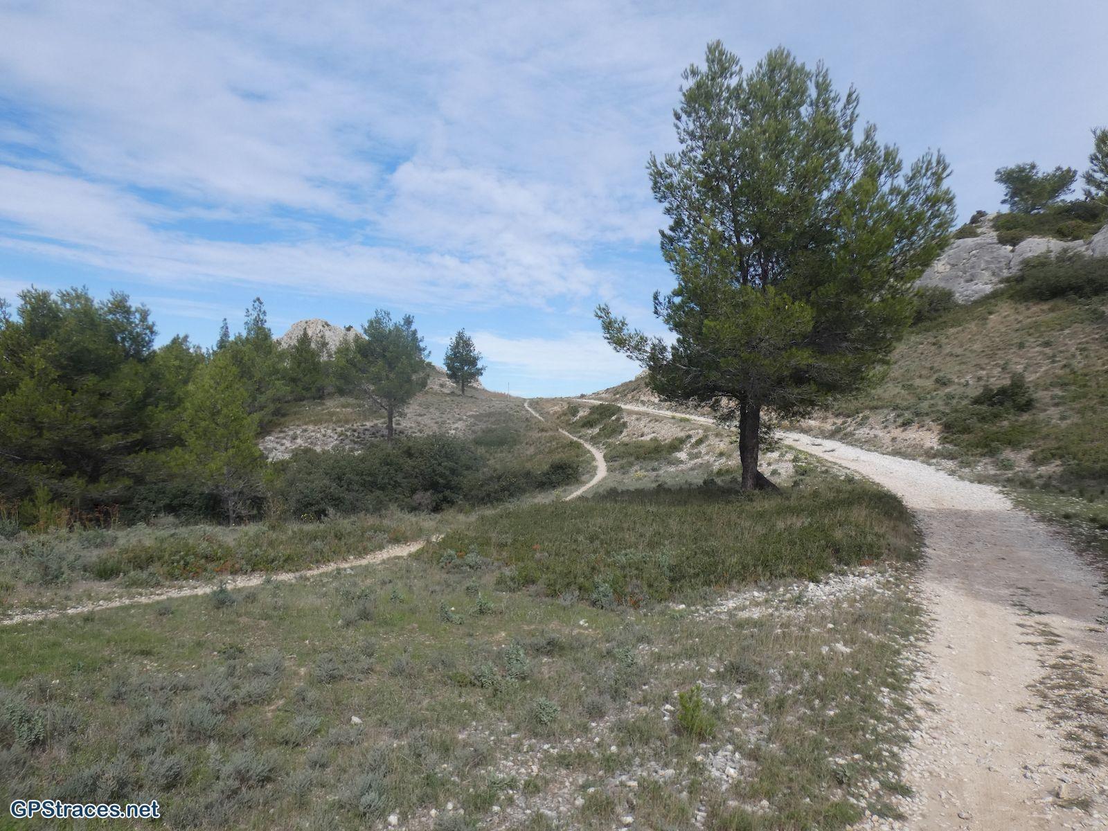 Bouches du Rhône-Montagnette - Frigolet - Les crêtes–11