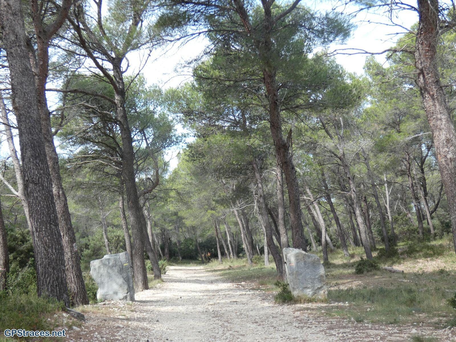 Bouches du Rhône-Montagnette - Frigolet - Les crêtes–14