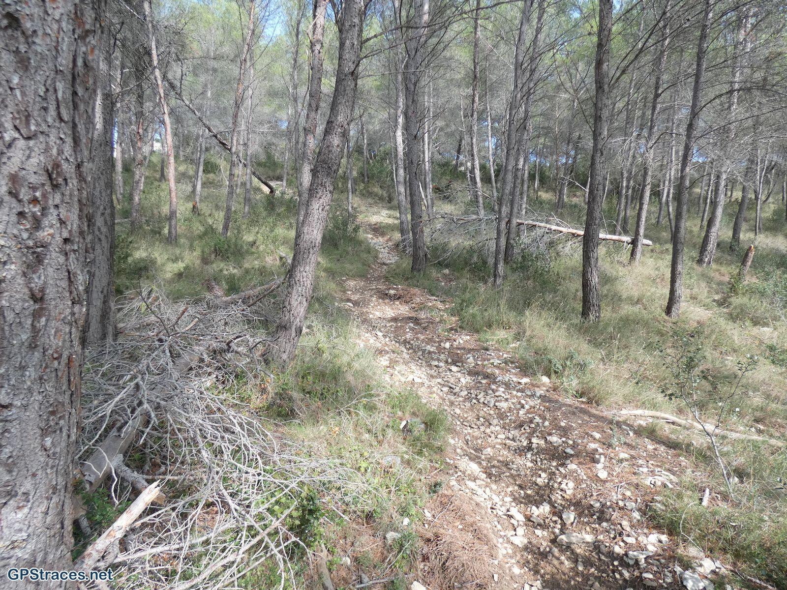 La montée au Mont de la Mère