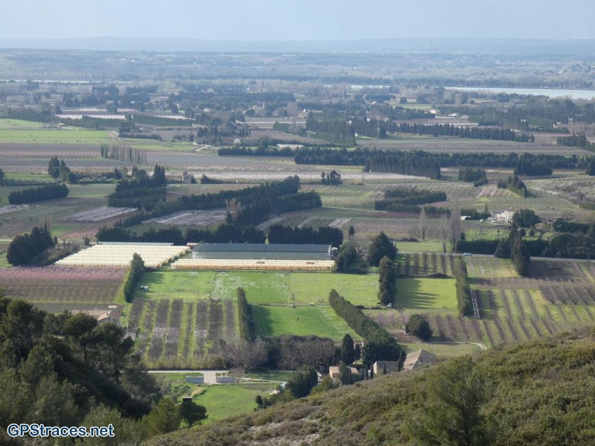 Bouches du Rhône-Montagnette - Vallon des Eysellettes–3