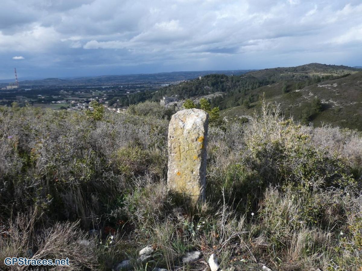 Bouches du Rhône-Montagnette - Vallon des Eysellettes–4