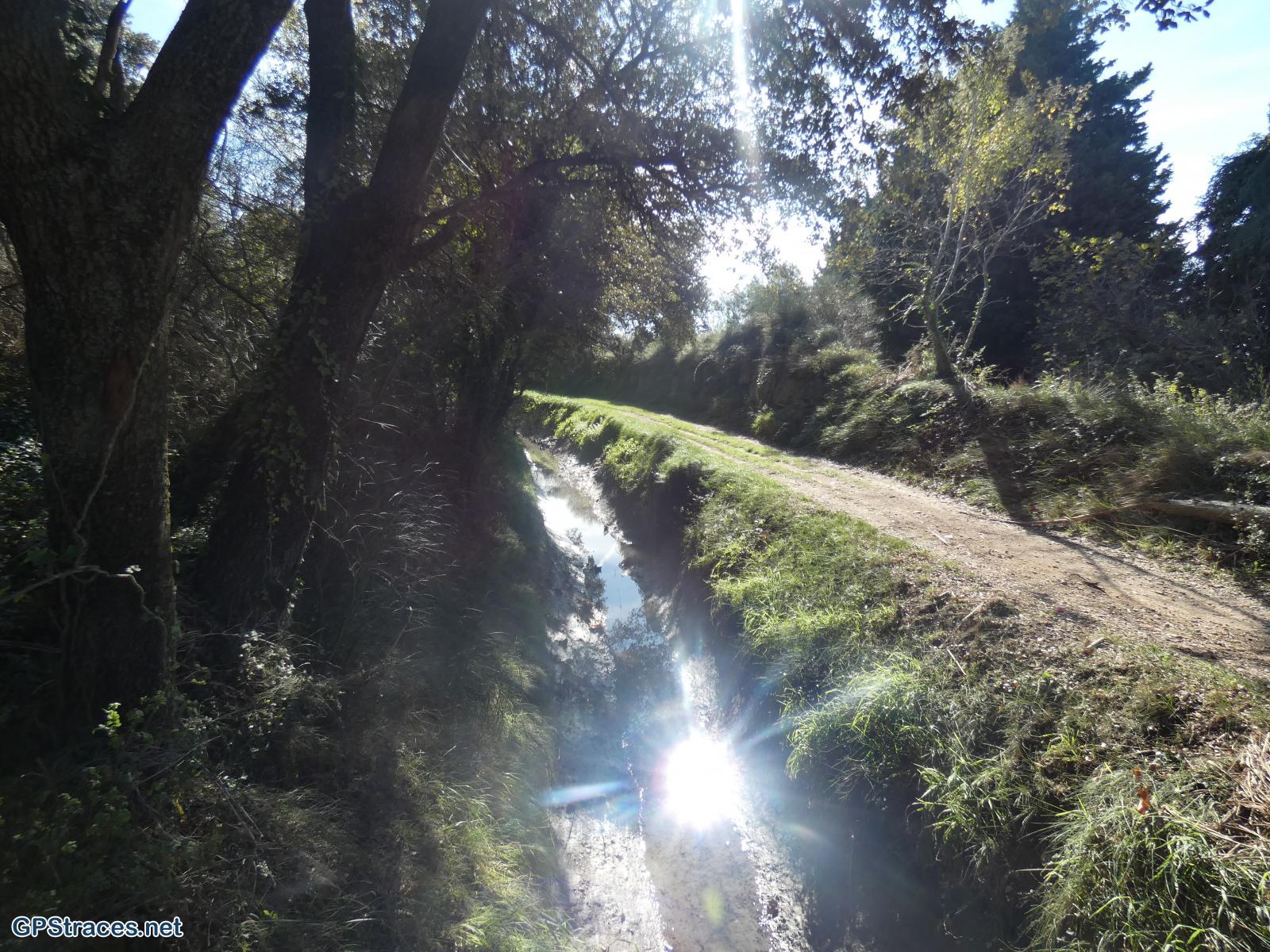Le canal des Alpines