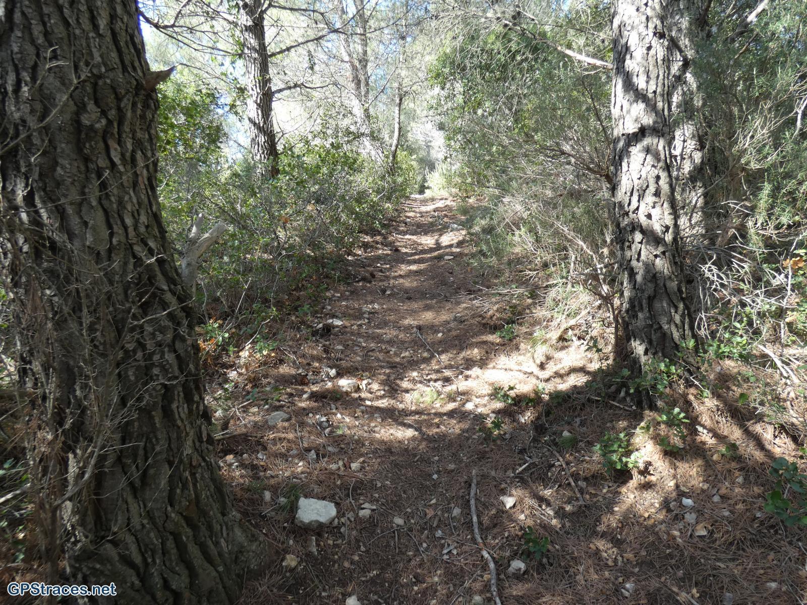La montée vers la Pointe de Cuques