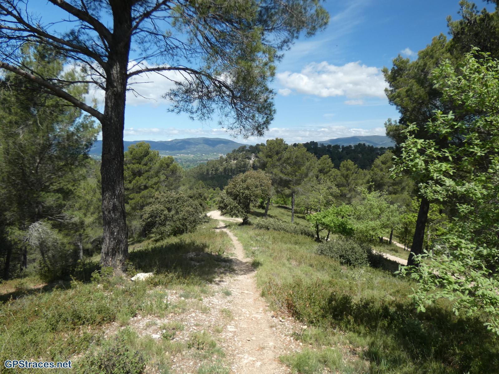 Bouches du Rhône-De Rognes au bassin de St-Christophe–5