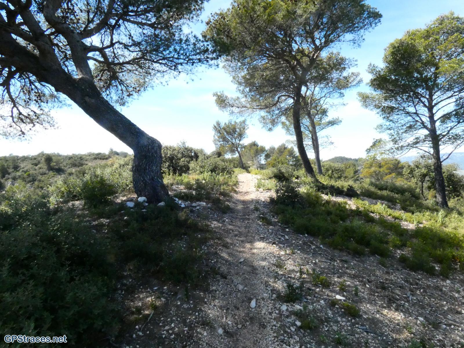 Bouches du Rhône-La Roque d'Anthéron -  Chaine des Côtes - Chapelle Ste Anne de Goiron–4