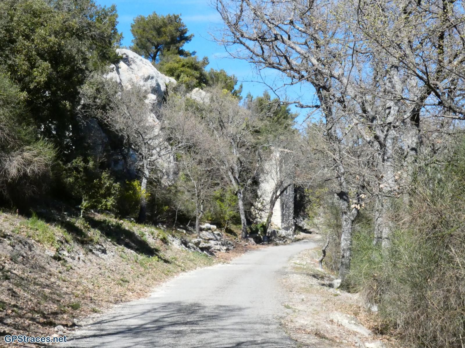 Habitat troglodyte