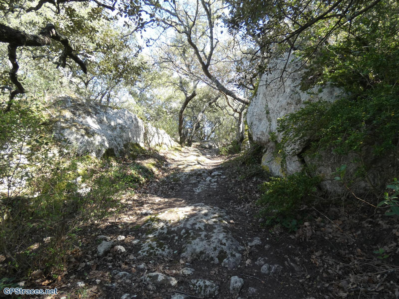 Bouches du Rhône-La Roque d'Anthéron -  Chaine des Côtes - Chapelle Ste Anne de Goiron–14