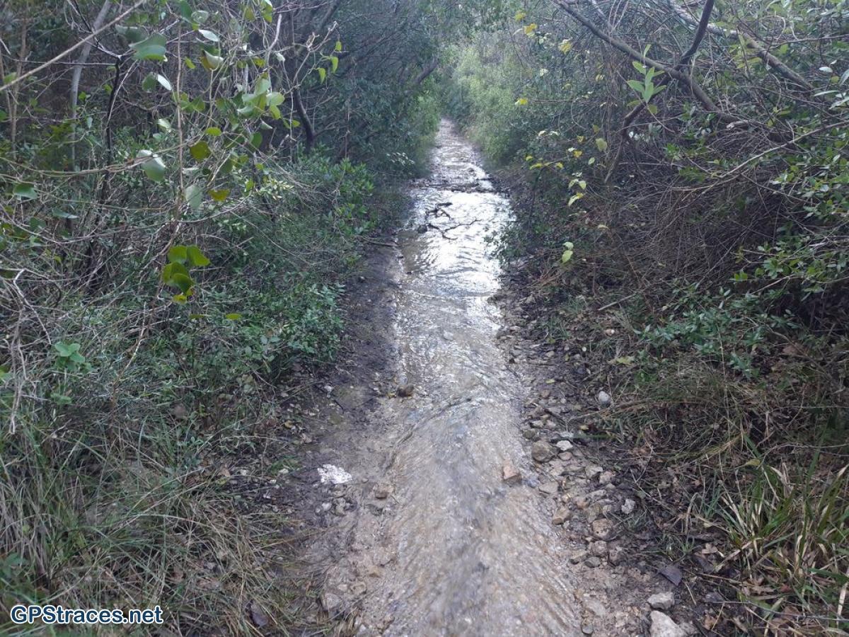Un sentier inondé par le Fauge