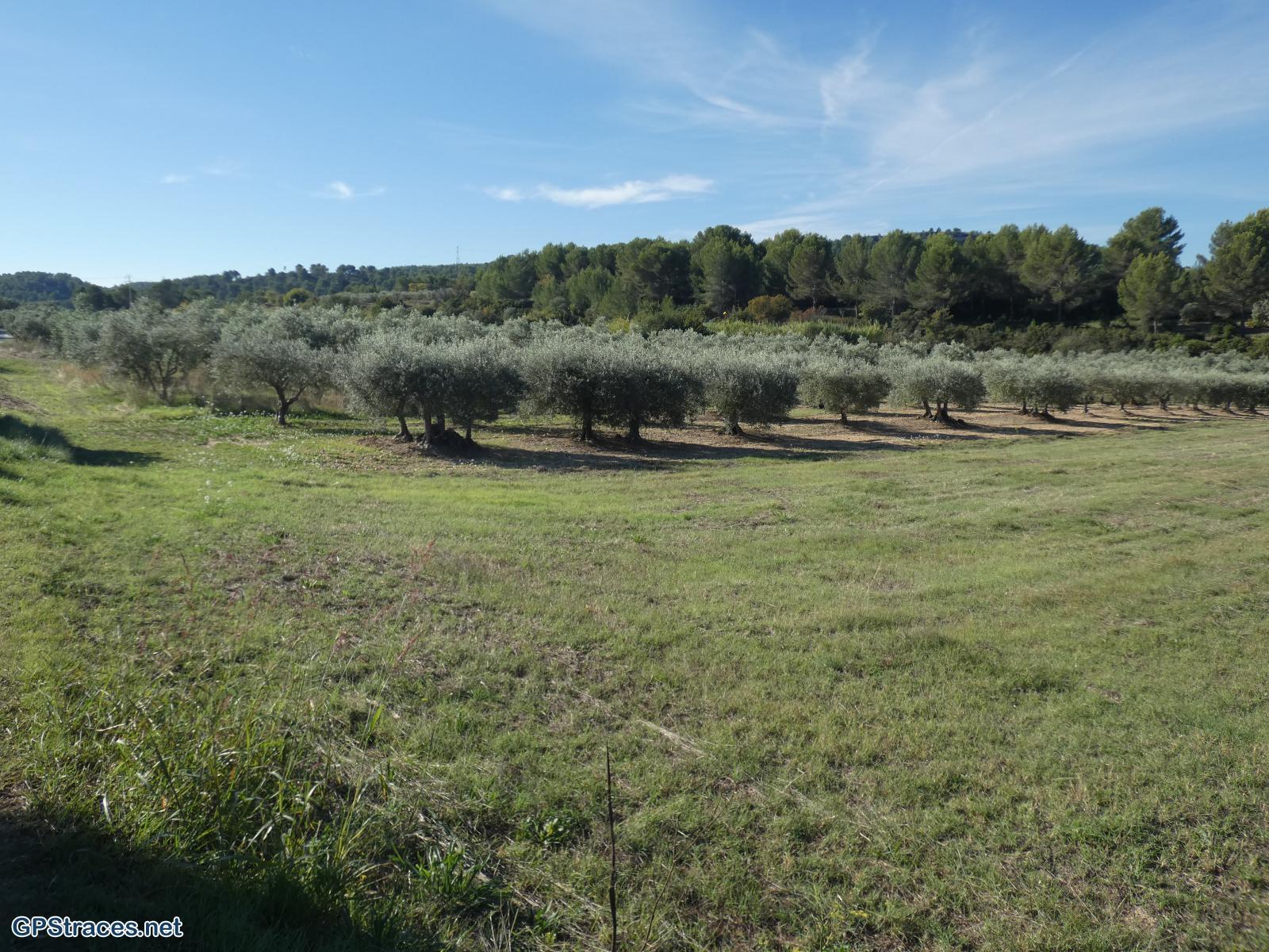 Bouches du Rhône-Velaux, croix de Rognac, cascade de Malaga et plateau du Grand Arbois–1
