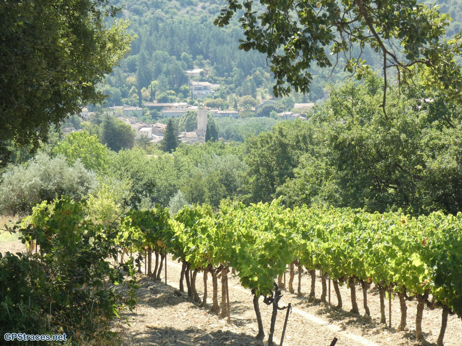 Drôme-Baronnies - Autour de Mollans-sur-Ouvèze–6