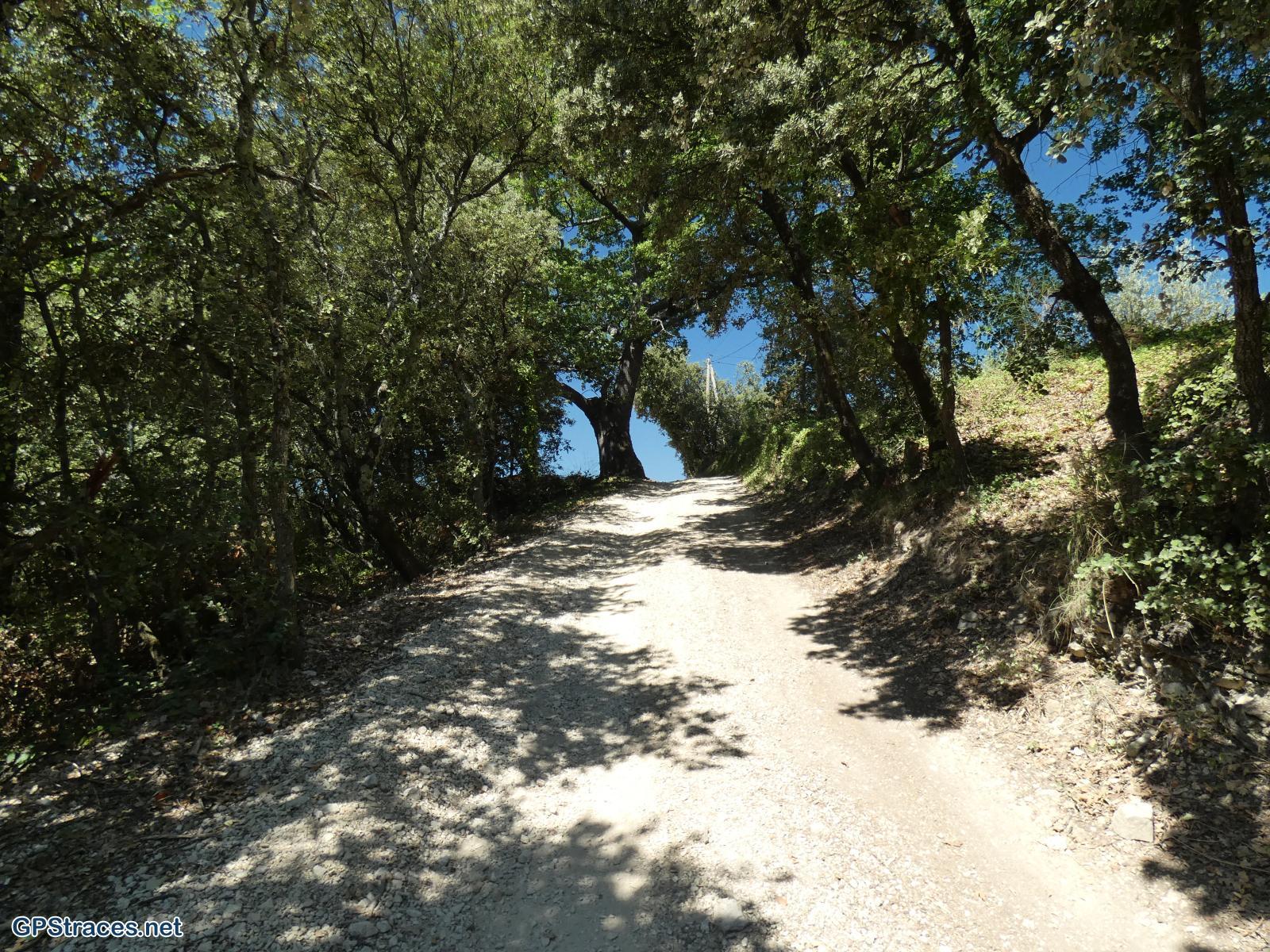 Drôme-Baronnies - Autour de Mollans-sur-Ouvèze–8