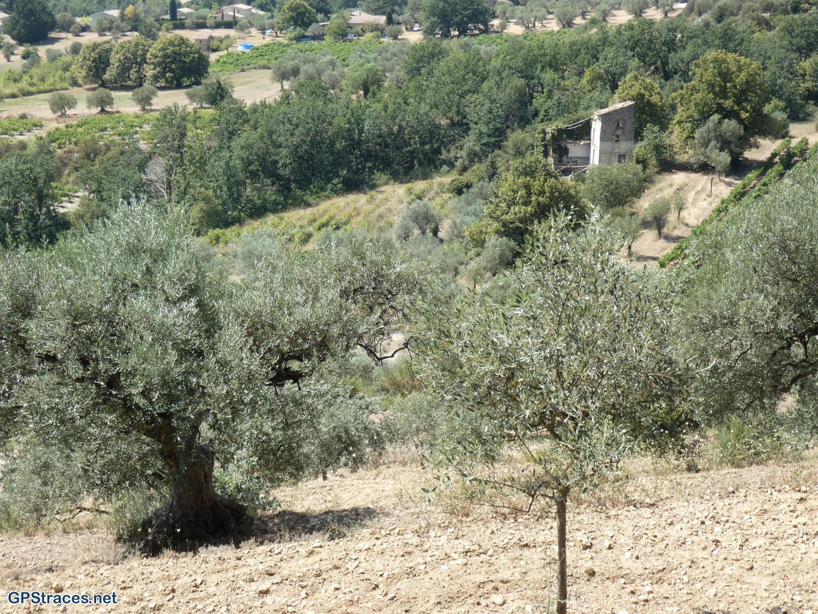 Drôme-Baronnies - Autour de Mollans-sur-Ouvèze–12