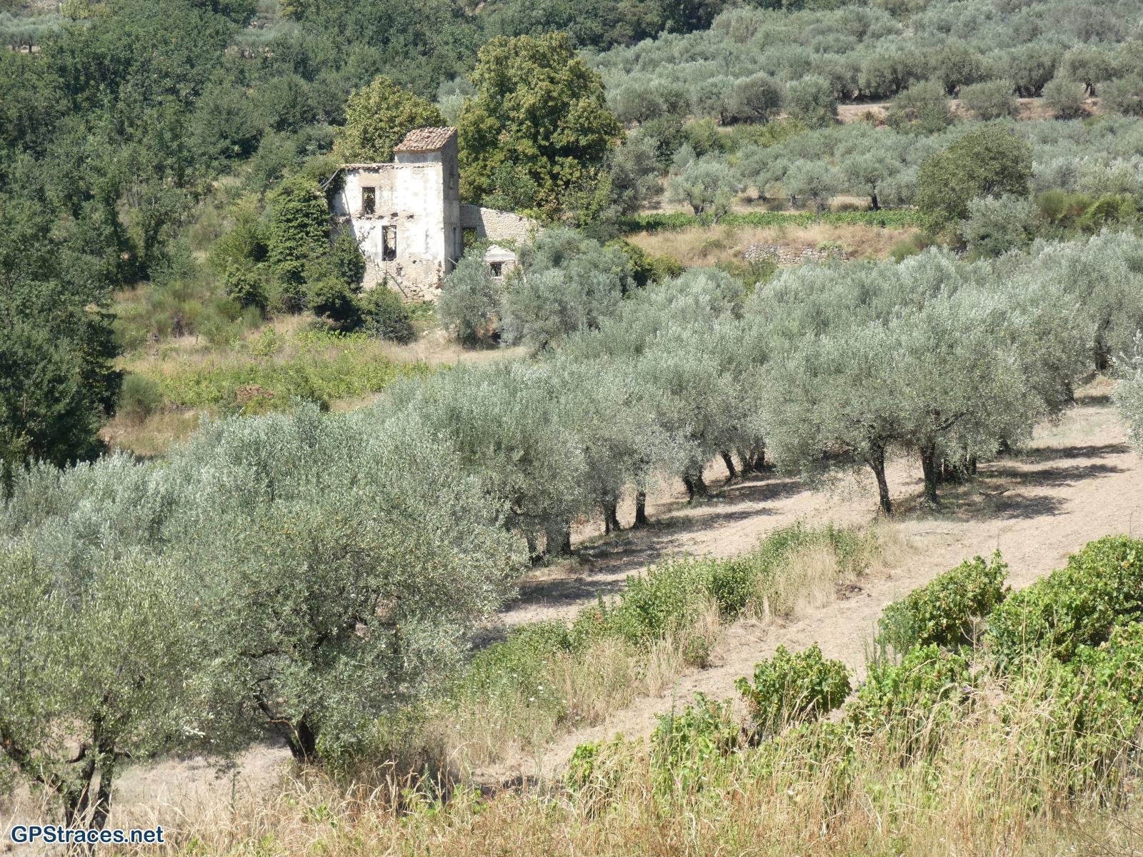 Drôme-Baronnies - Autour de Mollans-sur-Ouvèze–13