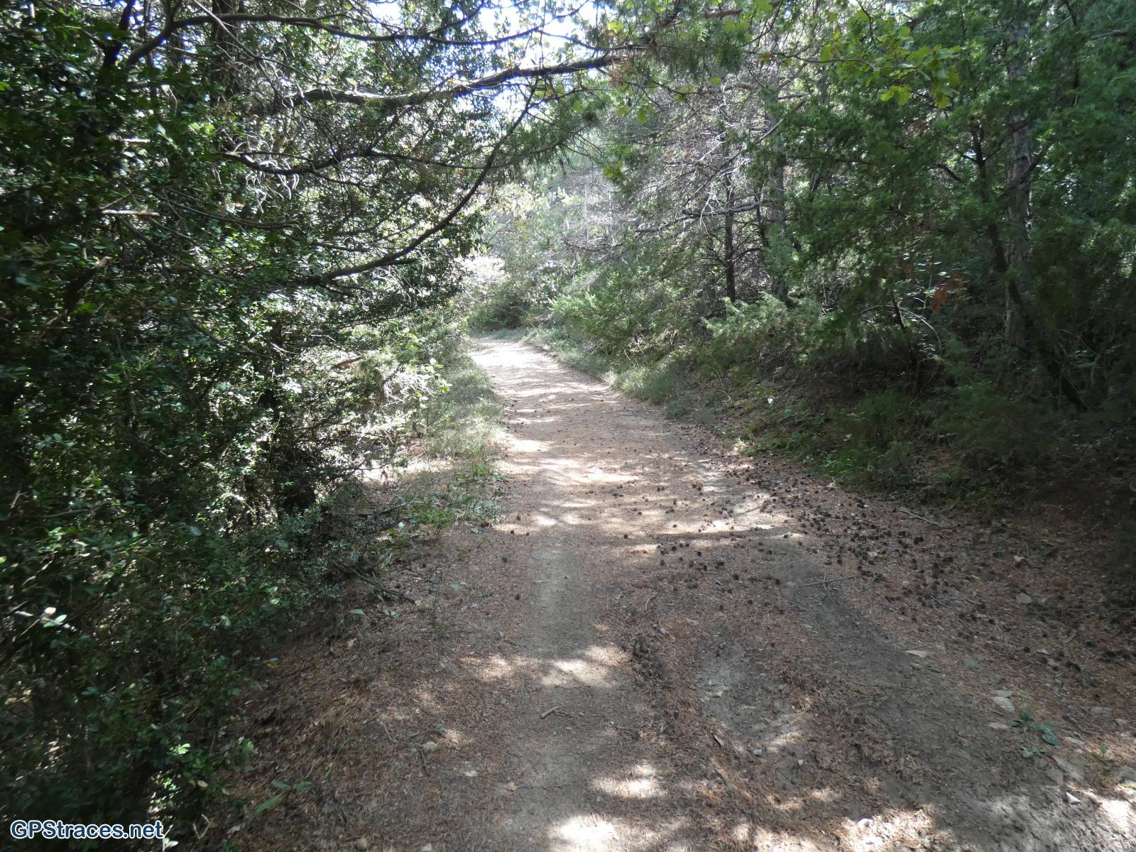 Drôme-Baronnies - Beauvoisin - Pié du Bœuf - Montagne de la Taillade–7