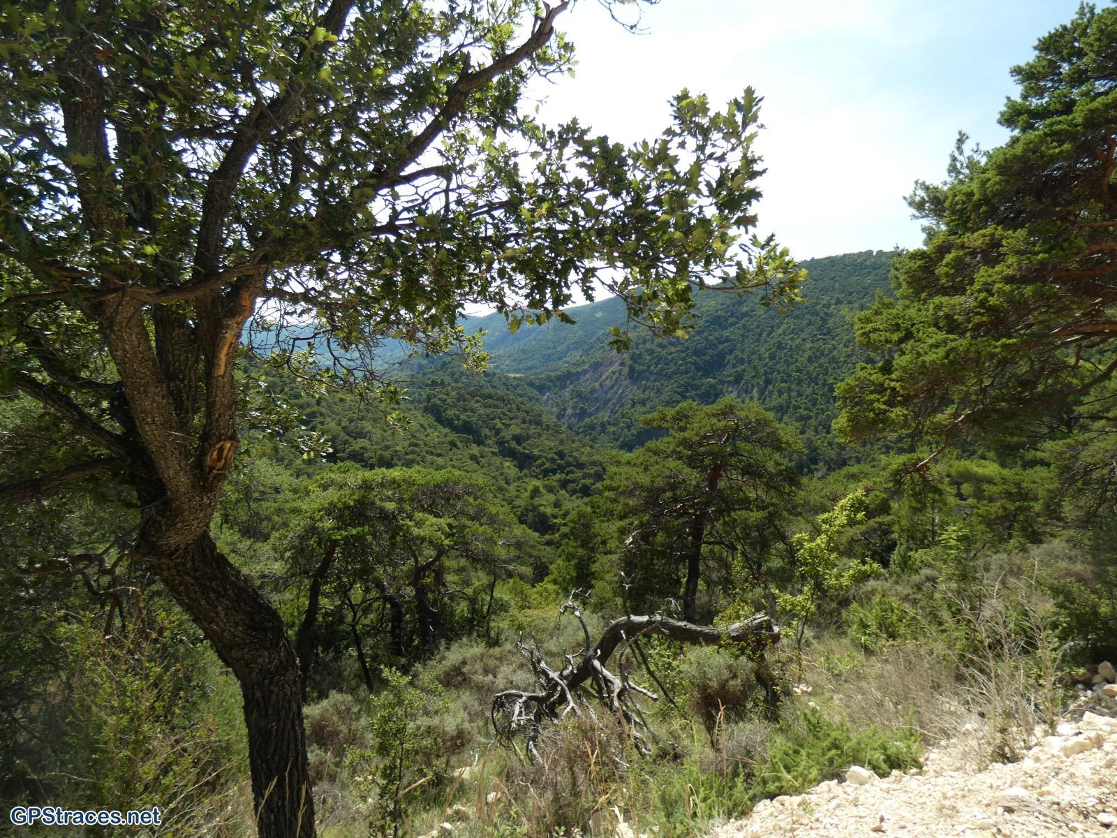 Drôme-Baronnies - Beauvoisin - Pié du Bœuf - Montagne de la Taillade–11