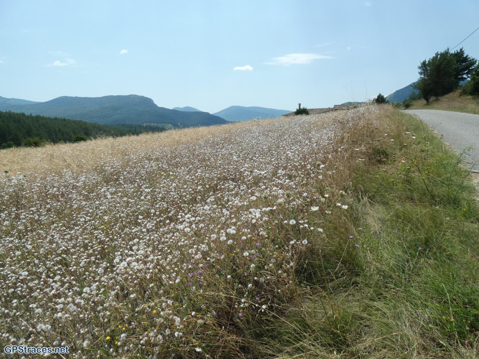 Drôme-Baronnies - De la Chapelle Saint-Côme à l'Adret de Vers–1