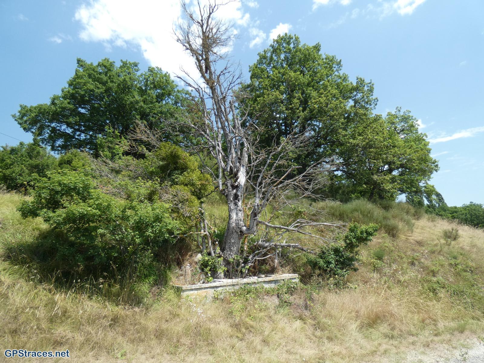 Drôme-Baronnies - De la Chapelle Saint-Côme à l'Adret de Vers–4
