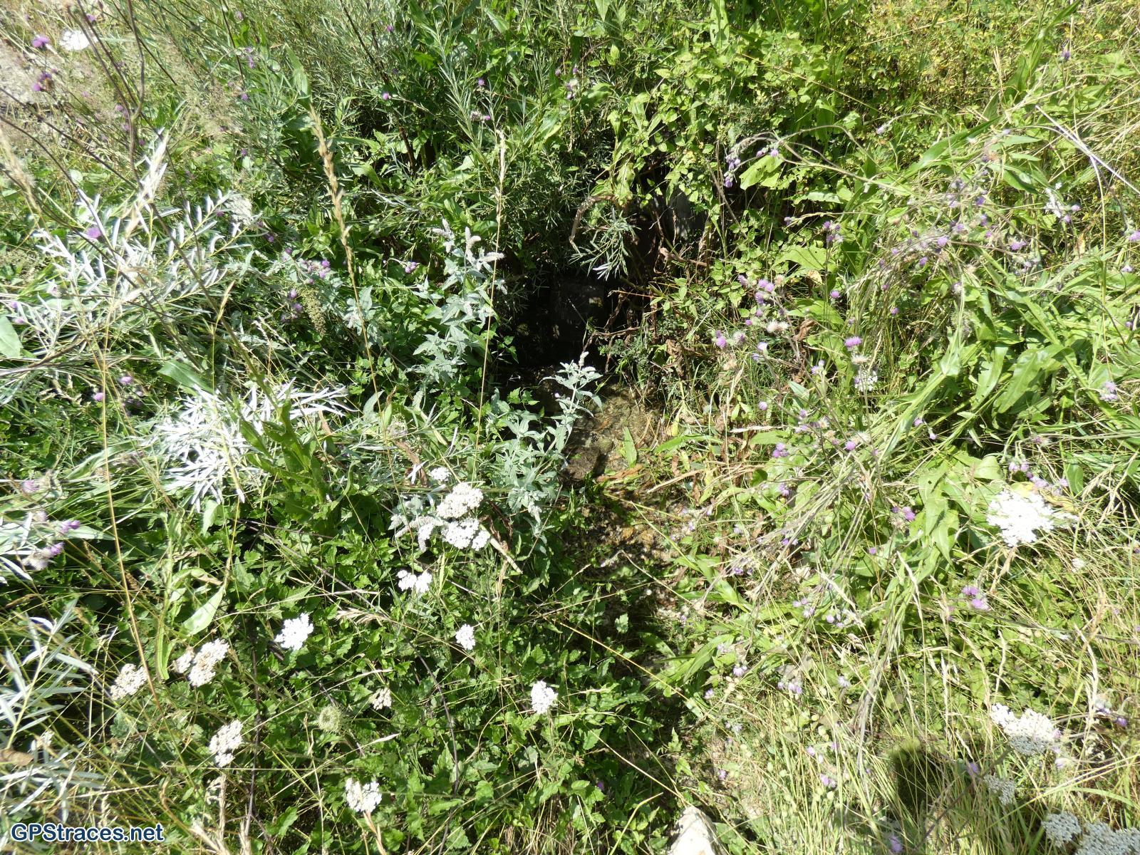 La source captée
