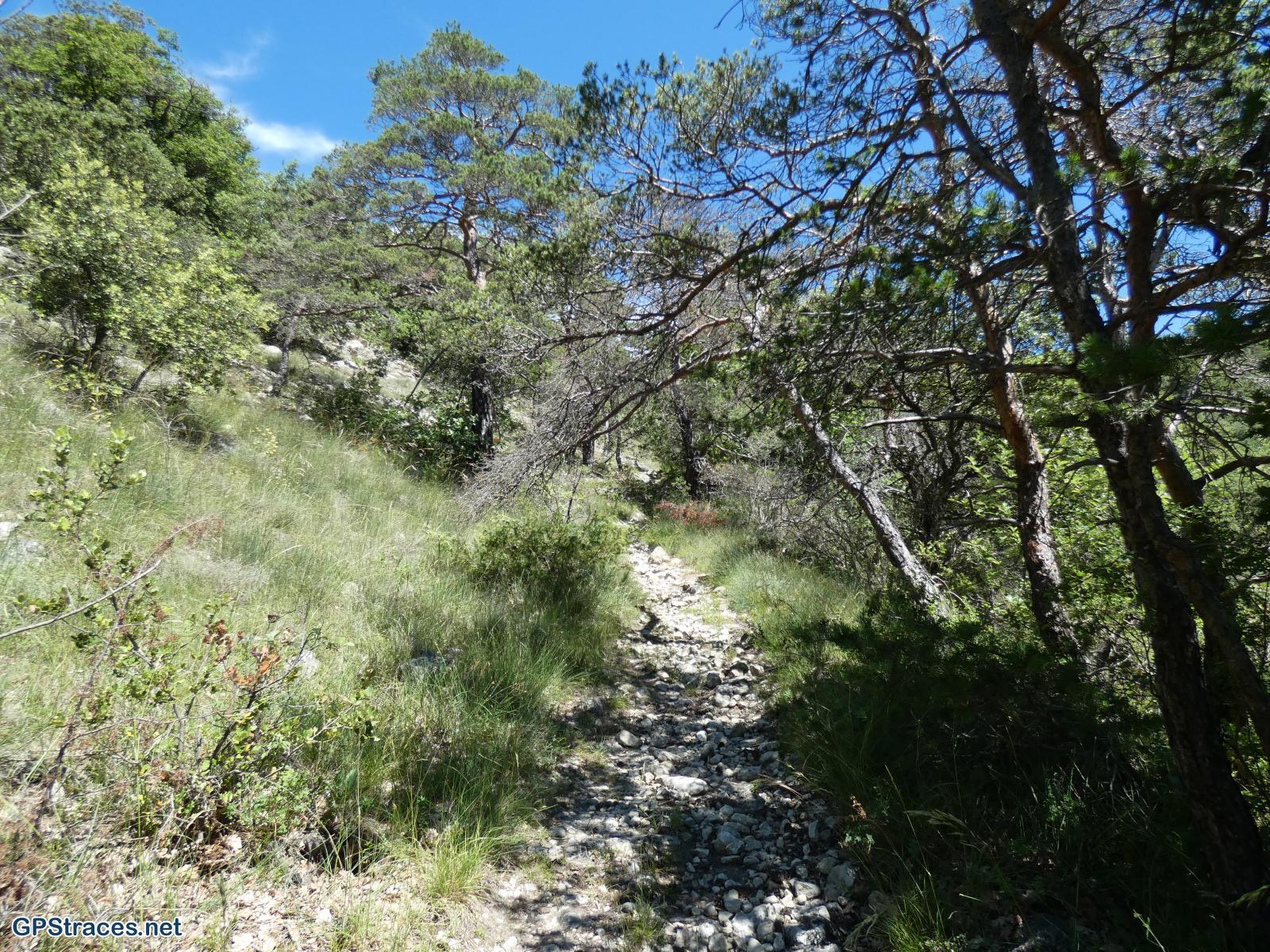 Drôme-Baronnies - Mont Rachas–1
