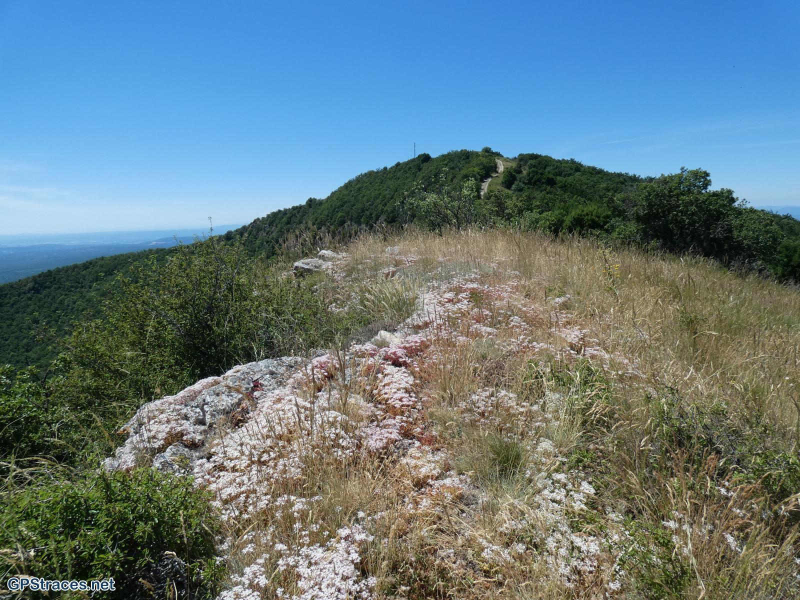 Le mont Rachas