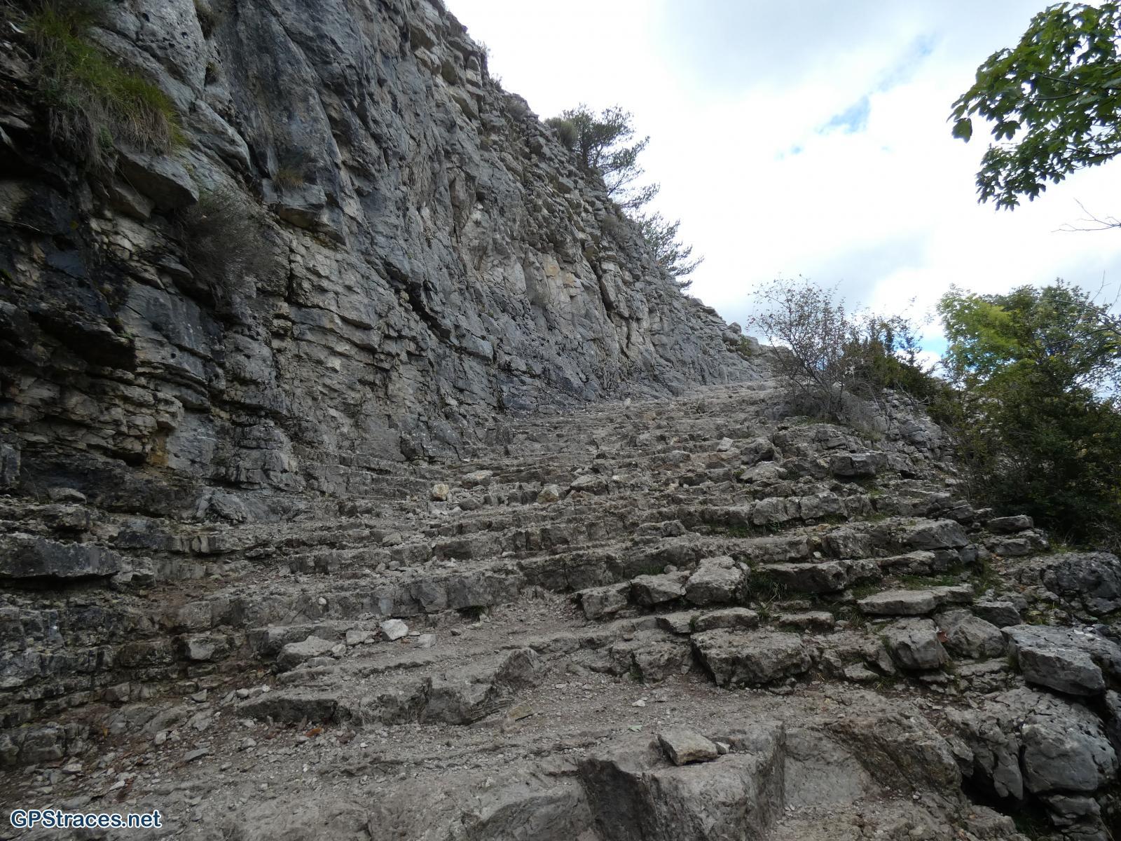 Un chemin de transhumance