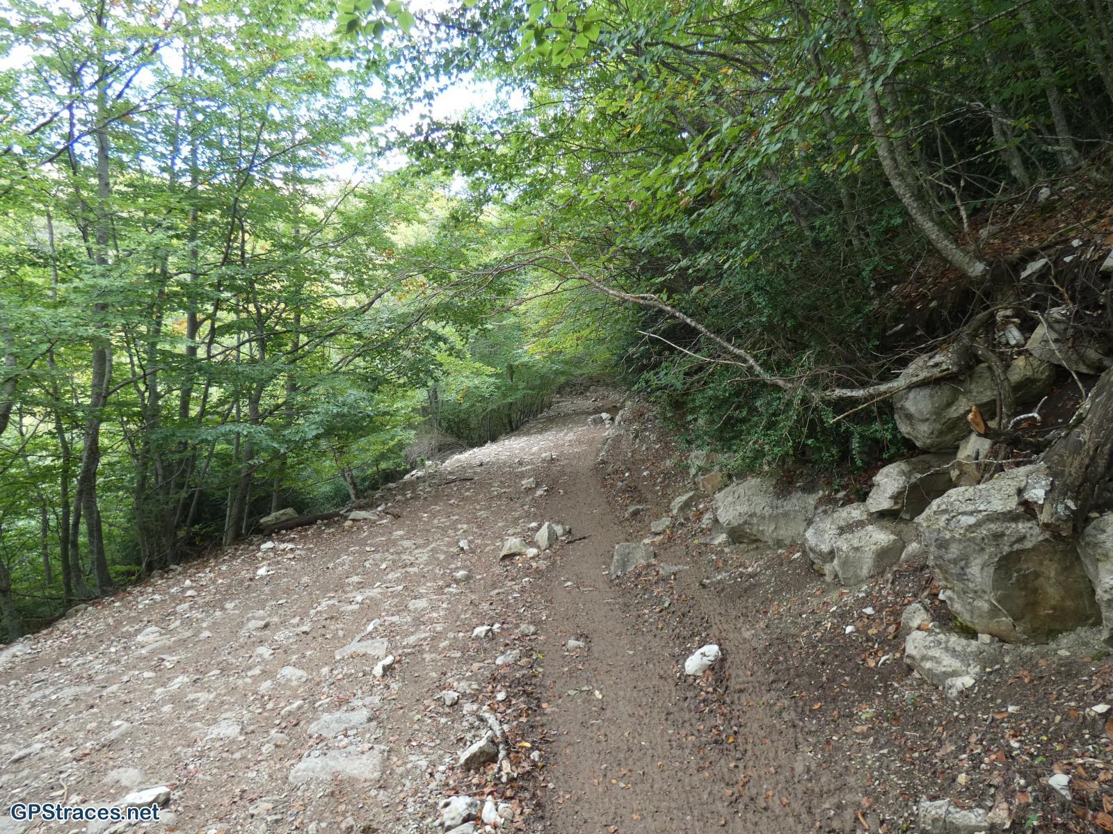 Drôme-Baronnies-Montagne-de-Chamouse–12