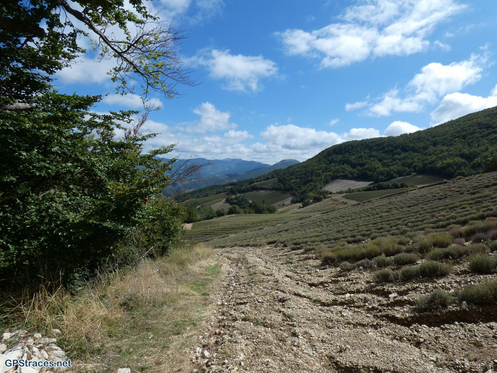 Drôme-Baronnies-Le-Poët-en-Percip-La-Rochette-du-Buis–4
