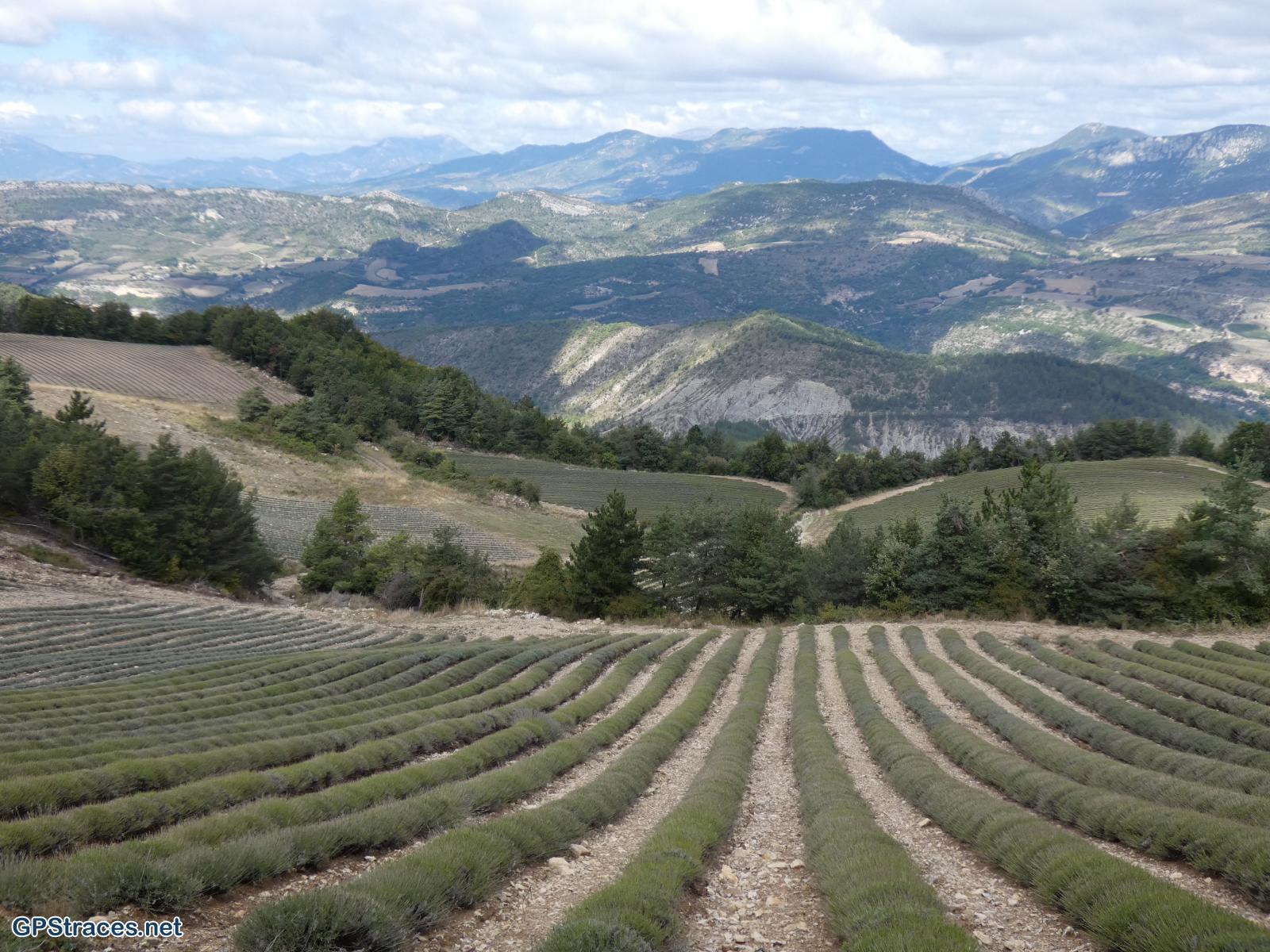 Drôme-Baronnies-Le-Poët-en-Percip-La-Rochette-du-Buis–6