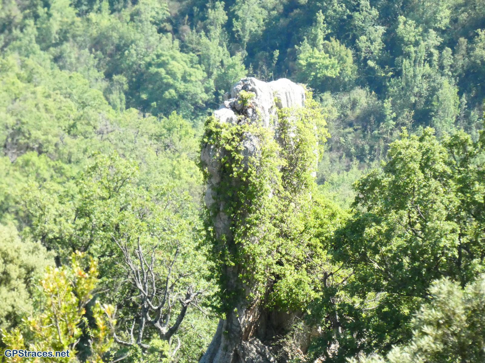 Drôme-Baronnies - La Roche sur le Buis - Col de Sanguinet–9